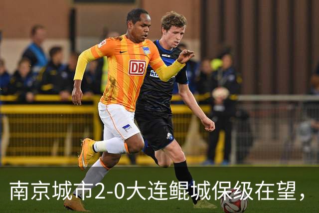 南京城市2-0大连鲲城保级在望，纪政玉乌龙，泽-维托尔点射