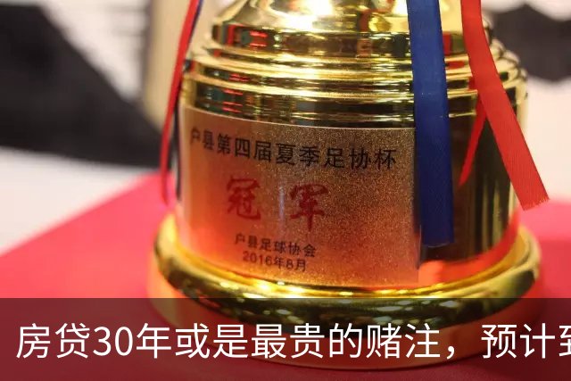 房贷30年或是最贵的赌注，预计到2030年，房子可能越来越难卖？