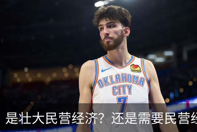 是壮大民营经济？还是需要民营经济？